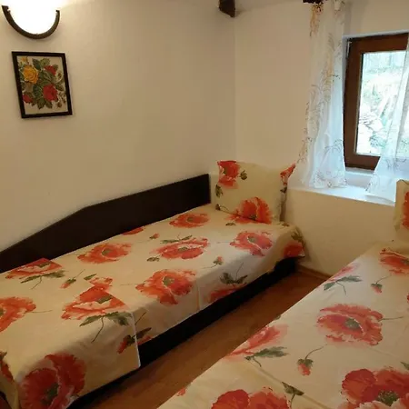 Vitanova Гостевой дом *